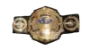 NWA World Tag Team Championship