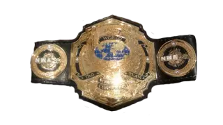 NWA World Tag Team Championship
