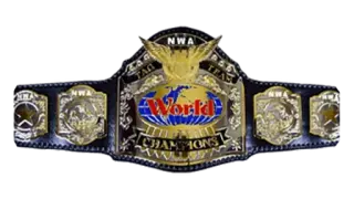 NWA World Tag Team Championship