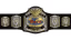 NWA World Tag Team Championship