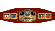 NWA World Heavyweight Championship (Jack Brisco Belt) NWA World Heavyweight Championship (Jack Brisco Belt)