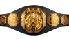 AAA Mega Championship AAA Mega Championship
