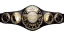 AEW Unified Championship