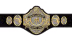 FCW Florida Heavyweight Championship