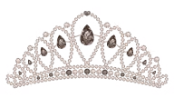 FCW Queen of Florida Championship FCW Queen of Florida Championship
