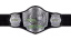GFW Tag Team Championship