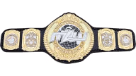 MLW World Heavyweight Championship MLW World Heavyweight Championship