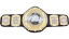 MLW World Heavyweight Championship