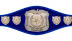 NWF Heavyweight Championship