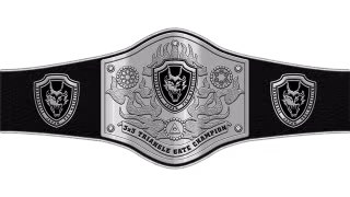 Open the Triangle Gate Championship