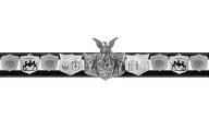 NWA World Tag Team Championship (Capitol version)