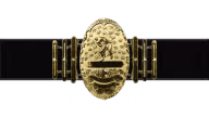 World Heavyweight Wrestling Championship World Heavyweight Wrestling Championship