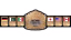 WWF International Heavyweight Championship