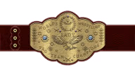 WWF Women's Tag Team Championship