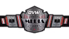 OVW Media Championship