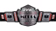 OVW Media Championship