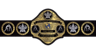 OVW Tag Team Championship