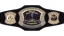 OVW World Radio Championship