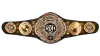 ROH World Championship