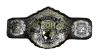 ROH World Tag Team Championship