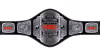 ROH World Television Championship