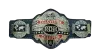 ROH World Television Championship