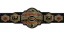 ROH World Television Championship