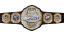 TNA World Championship