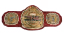 TNA King of the Mountain Championship