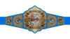 TNA International Championship