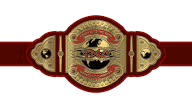 TNA Knockouts Tag Team Championship