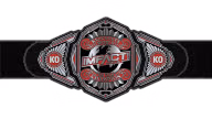 Impact Knockouts World Tag Team Championship