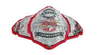 TNA Knockouts World Tag Team Championship