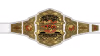 TNA Knockouts World Championship
