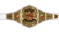 TNA Knockouts World Championship