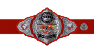 TNA Knockouts World Tag Team Championship