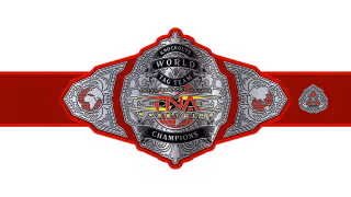 TNA Knockouts World Tag Team Championship