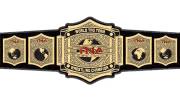 TNA World Tag Team Championship TNA World Tag Team Championship
