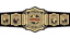 TNA World Tag Team Championship