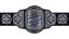 TNA World Tag Team Championship