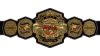 TNA World Championship