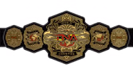TNA World Championship