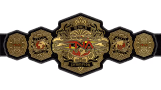 TNA World Championship
