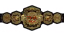 TNA World Championship