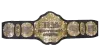 TNA World Heavyweight Championship