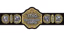 TNA World Championship