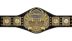 TNA World Championship