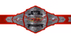 TNA World Tag Team Championship