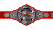 TNA World Tag Team Championship TNA World Tag Team Championship
