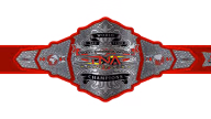 TNA World Tag Team Championship